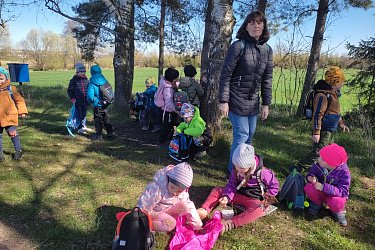 Obrázek č.15