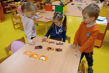 Obrázek č.48