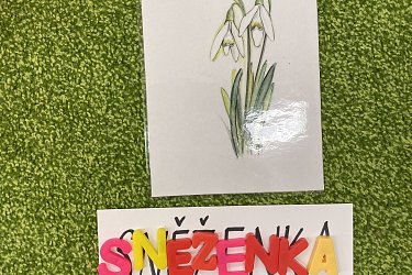 Obrázek č.60