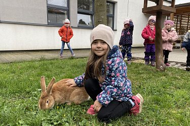 Obrázek č.14