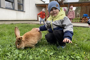 Obrázek č.17