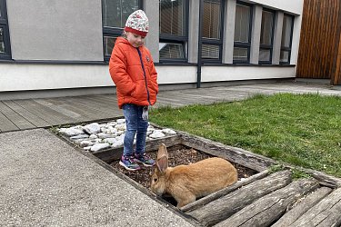Obrázek č.21