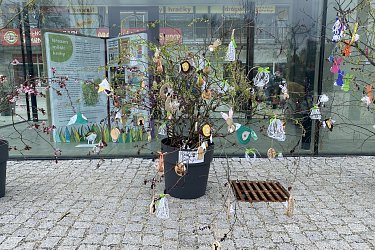 Obrázek č.19