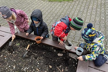 Obrázek č.111