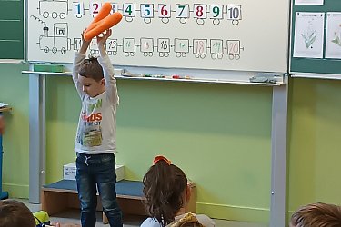 Obrázek č.10