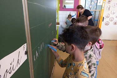 Obrázek č.16