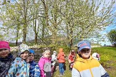 Obrázek č.5