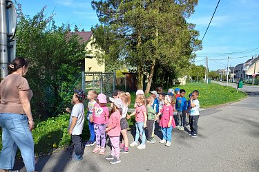 Obrázek č.19