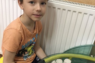 Obrázek č.107