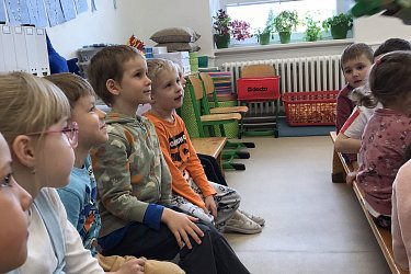 Obrázek č.13