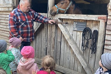 Obrázek č.8