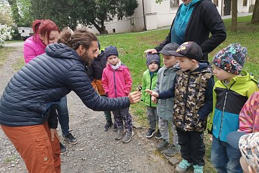 Obrázek č.126