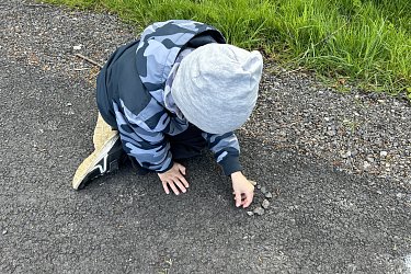 Obrázek č.24