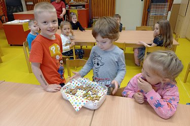Obrázek č.19