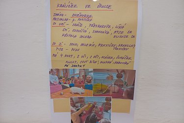 Obrázek č.15