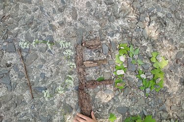 Obrázek č.21