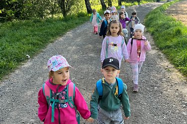 Obrázek č.15