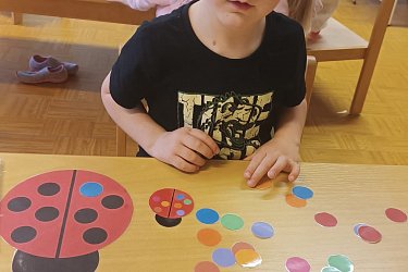 Obrázek č.17