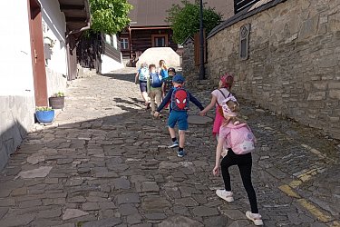 Obrázek č.24