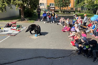 Obrázek č.29