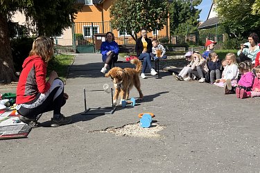 Obrázek č.21