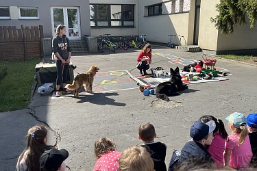 Obrázek č.15
