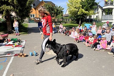 Obrázek č.14