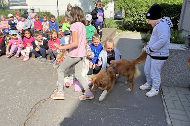Obrázek č.9