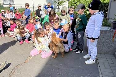 Obrázek č.8