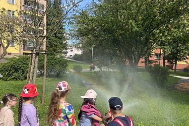 Obrázek č.29