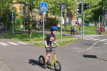 Obrázek č.12