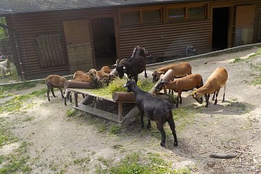 Obrázek č.139