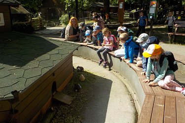 Obrázek č.141