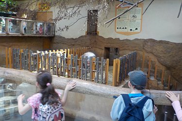 Obrázek č.143