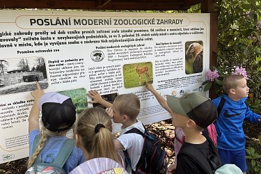 Obrázek č.112