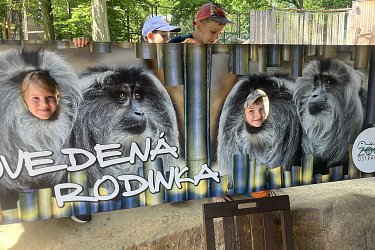 Obrázek č.62