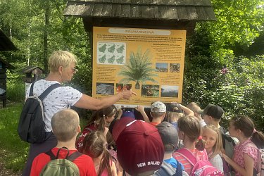 Obrázek č.22