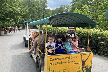 Obrázek č.5