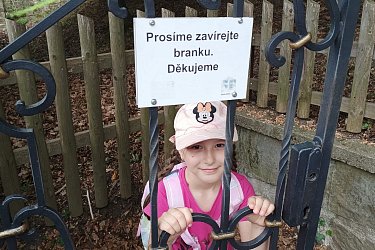Obrázek č.76