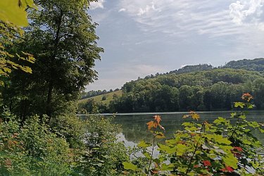 Obrázek č.43