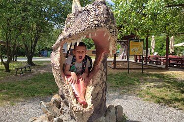 Obrázek č.84