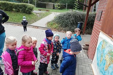 Obrázek č.13