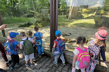Obrázek č.77
