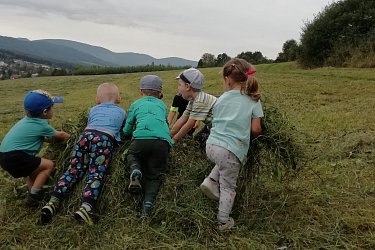 Obrázek č.10