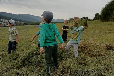 Obrázek č.14