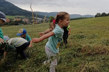 Obrázek č.17
