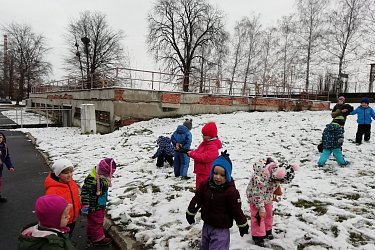 Obrázek č.65