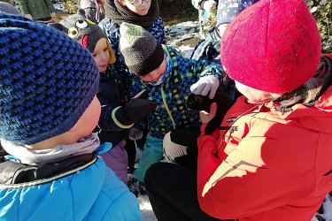 Obrázek č.66