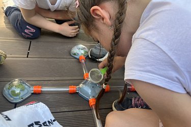 Co se skrývá v trávě a výlet s překvapením (Námořníci)