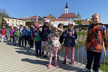 Obrázek č.170